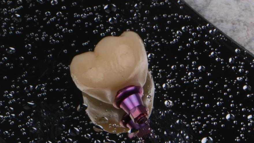 Аполінарія