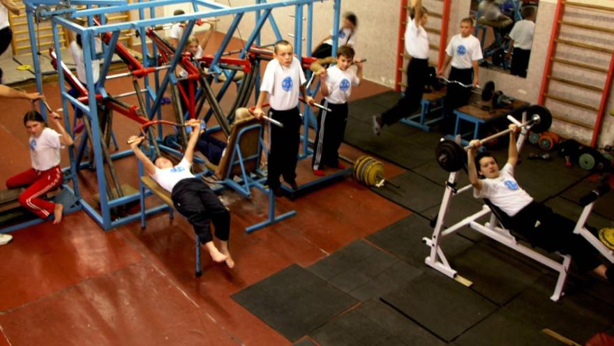 Альфа Дельф