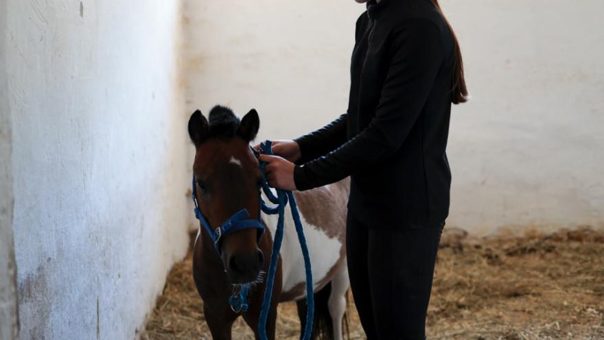 Школа Марії Бродської