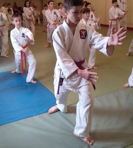 Айкідо Йошинкан