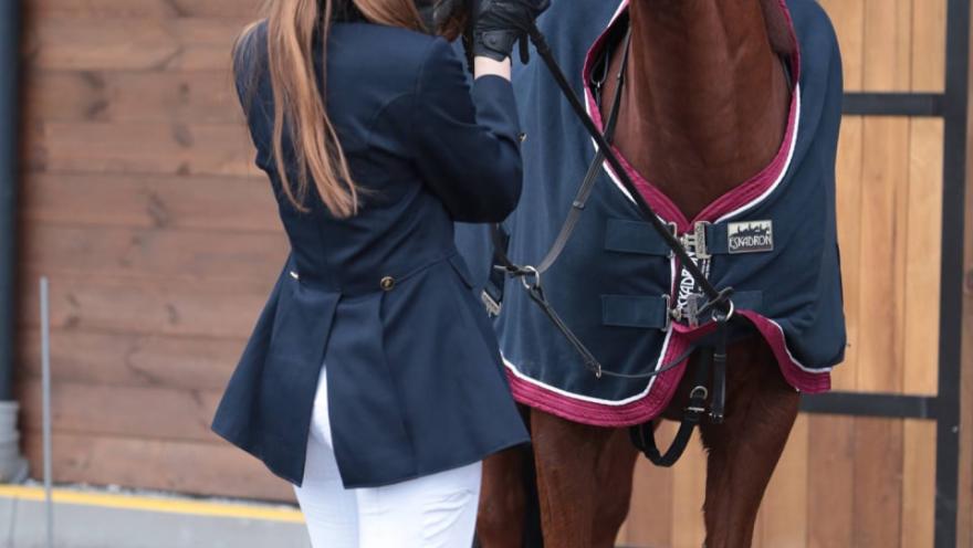 Буревісник