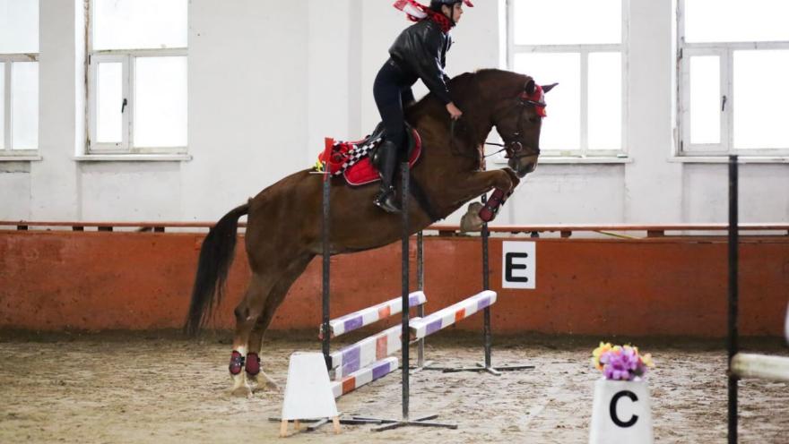 Буревісник