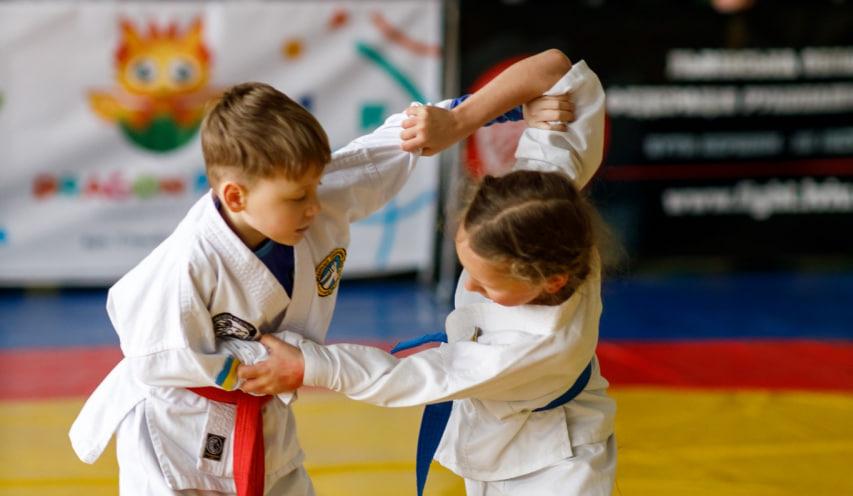 Федерація рукопашного бою