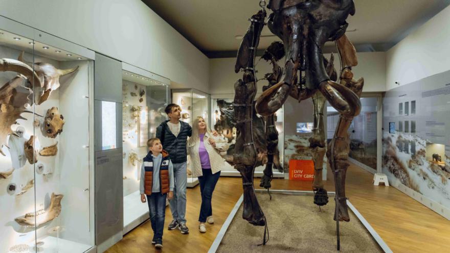 Державний природознавчий музей