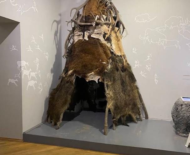 Державний природознавчий музей