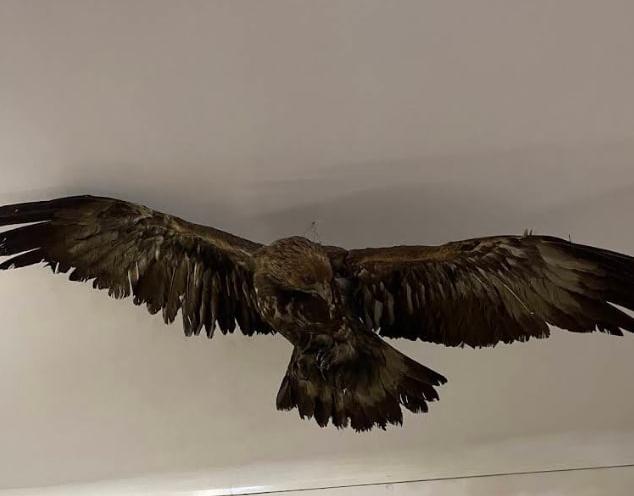 Державний природознавчий музей