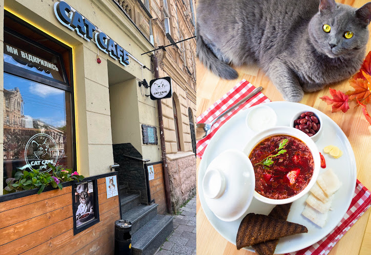 Cat Cafe