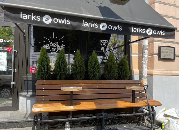 Larks & Owls