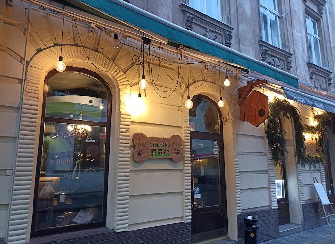 Лінивий пес