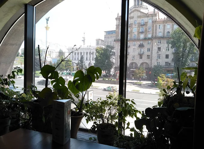 Рукола