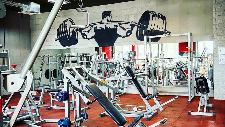 Stay Fit