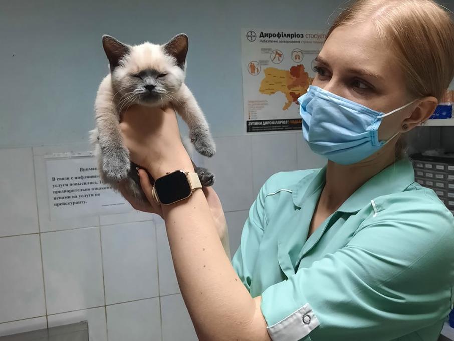 Полівет