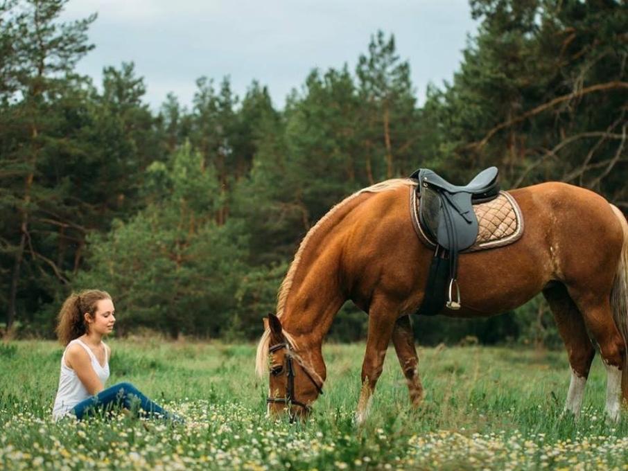 КСК-Дарвін