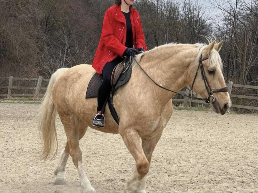 Каретний Двір