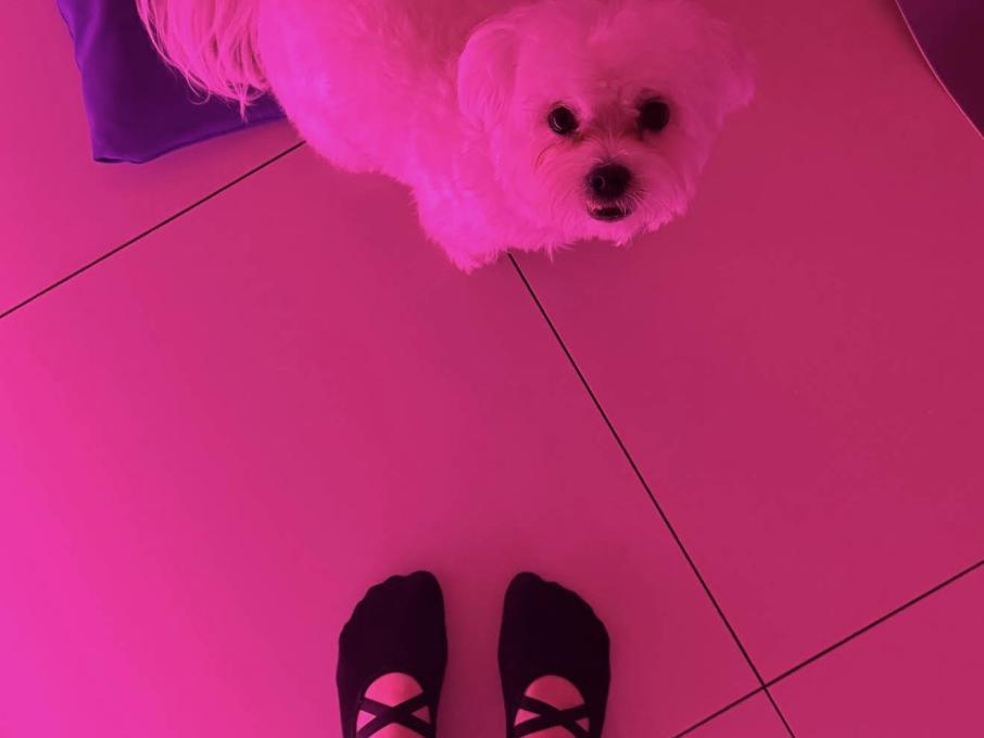 Студія професійного стретчингу Марії Лисиці