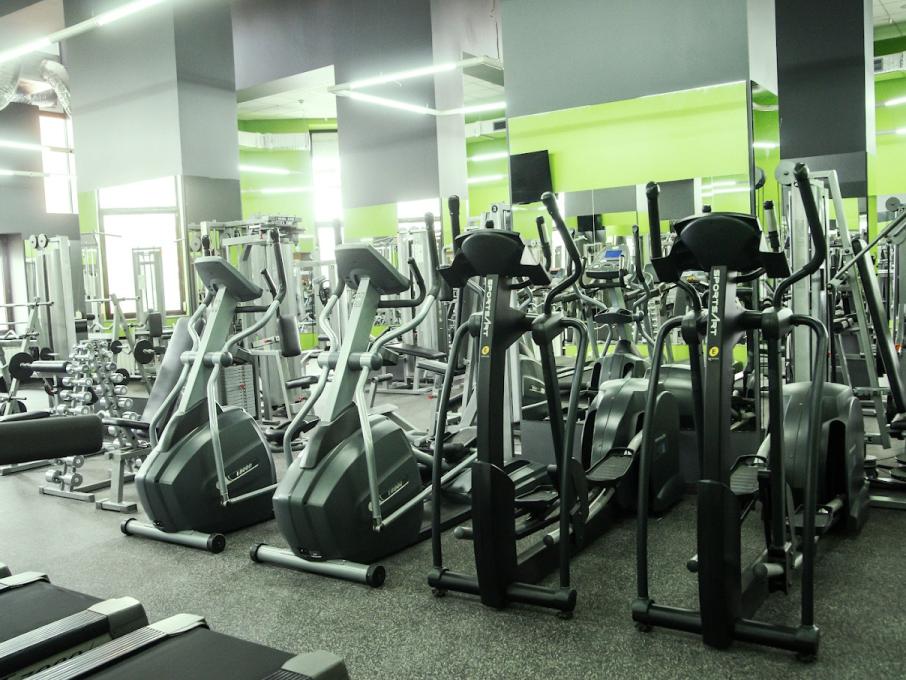 Love Fitness
