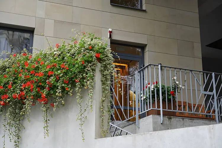 Коло Сім’ї