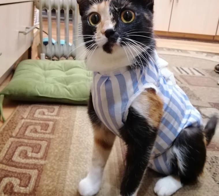 Ветеринарна клініка доктора Маркевича