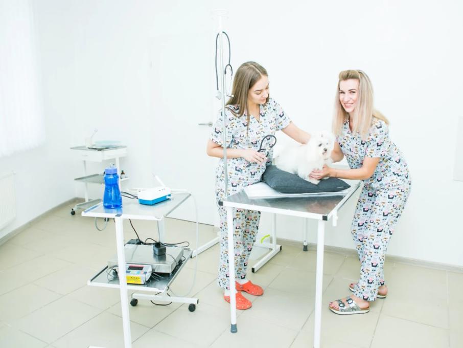 Ветмедкомплекс