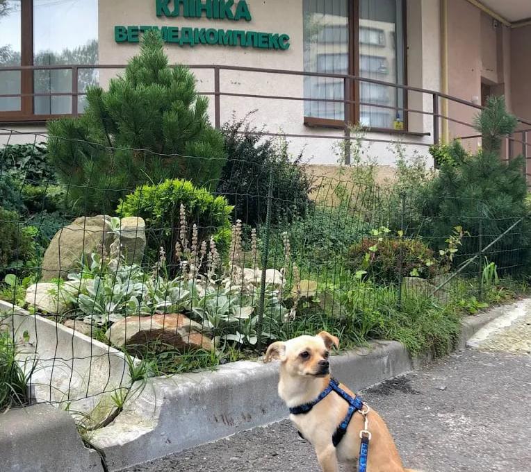 Ветмедкомплекс