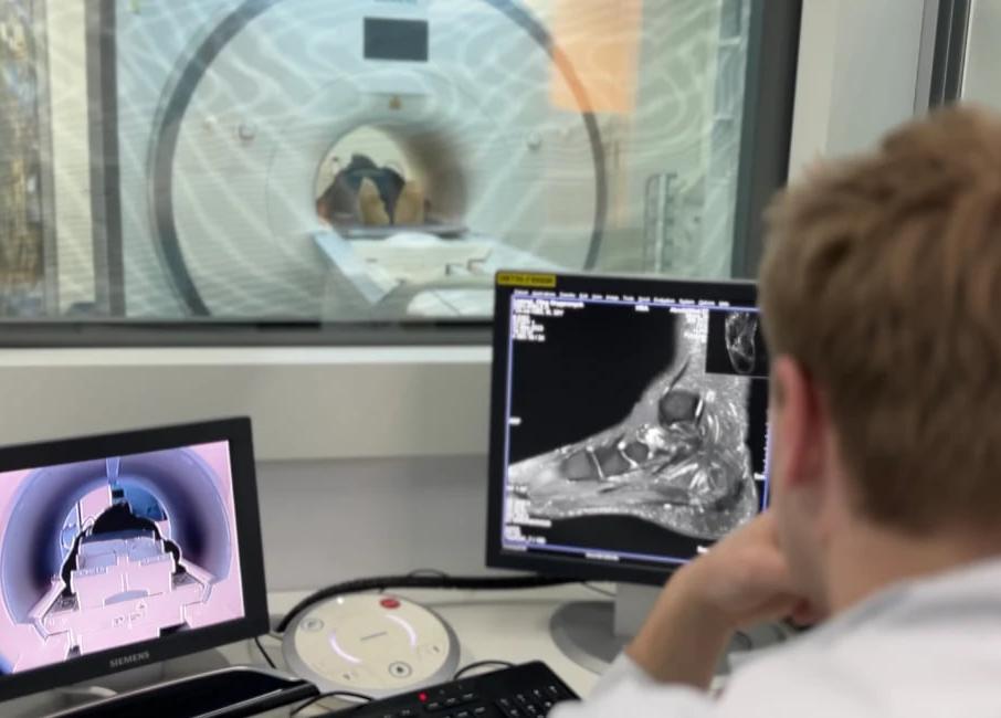 Абсолют МРТ 3t