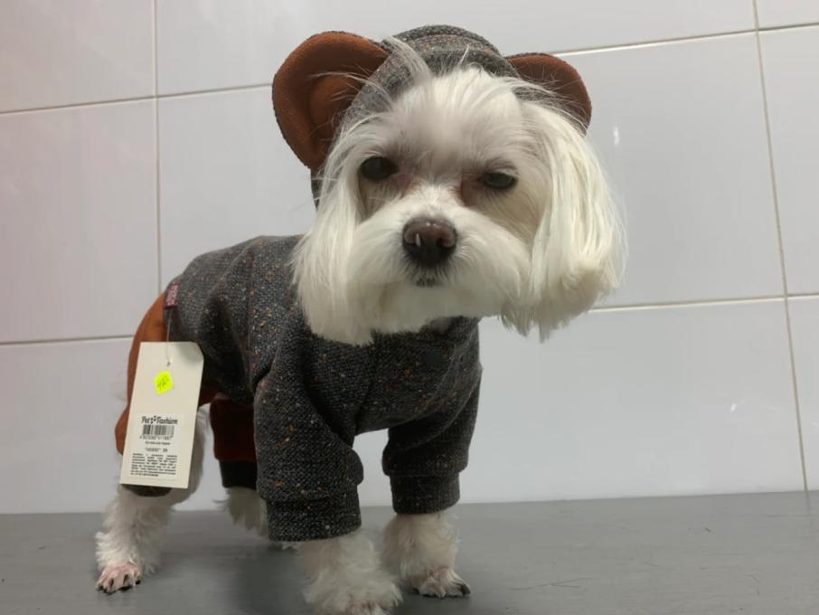 Вуса Kапи Хвіст