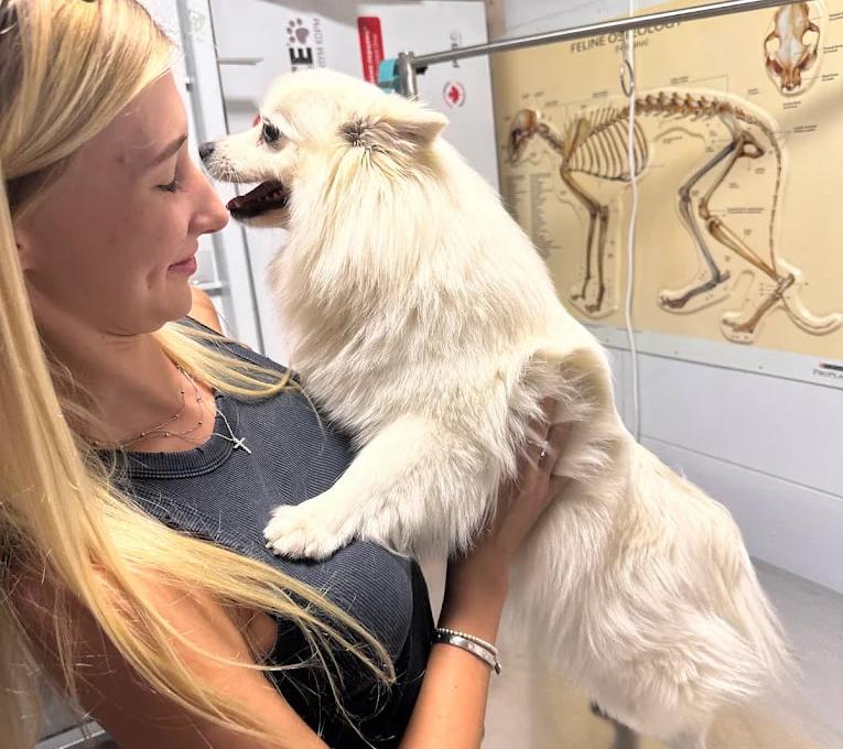 Вуса Kапи Хвіст