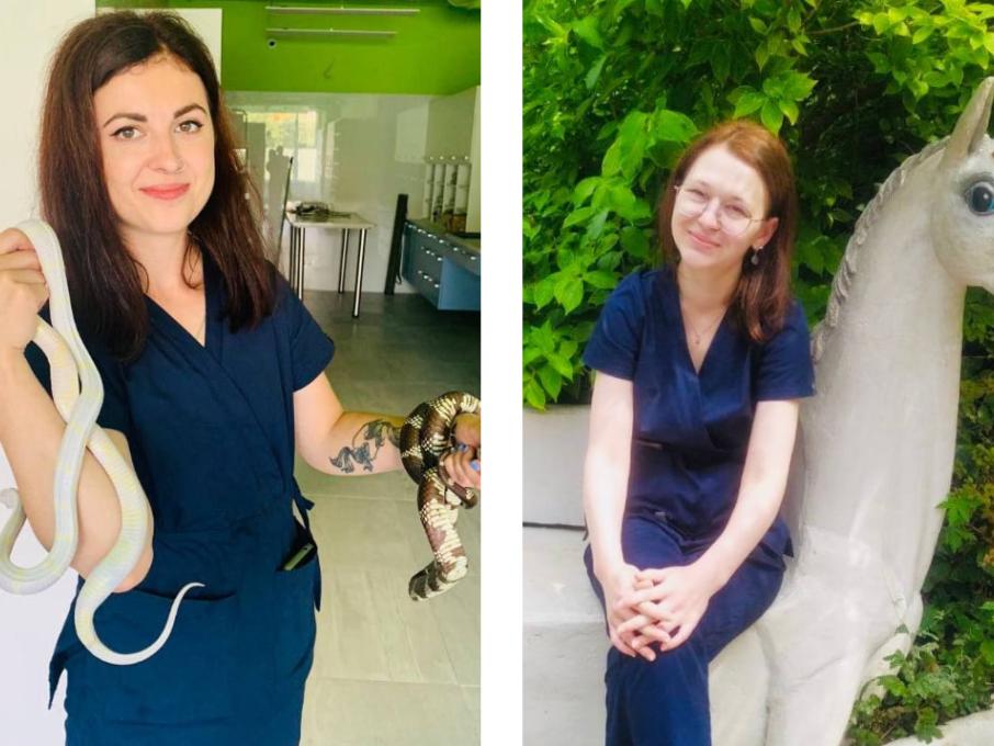 ВЕТ Простір