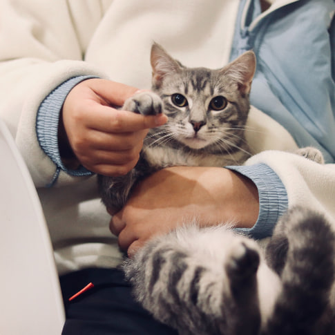 ВЕТ Простір