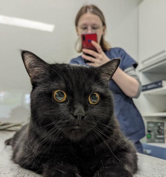 ВЕТ Простір