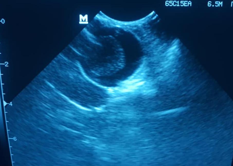 ВЕТ Простір