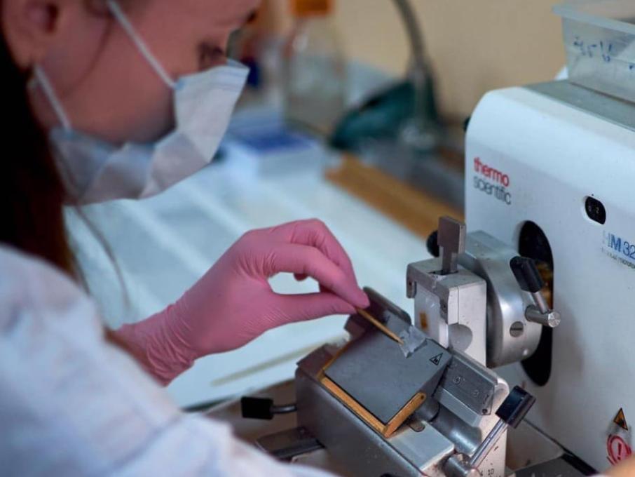 Західноукраїнська гістологічна лабораторія