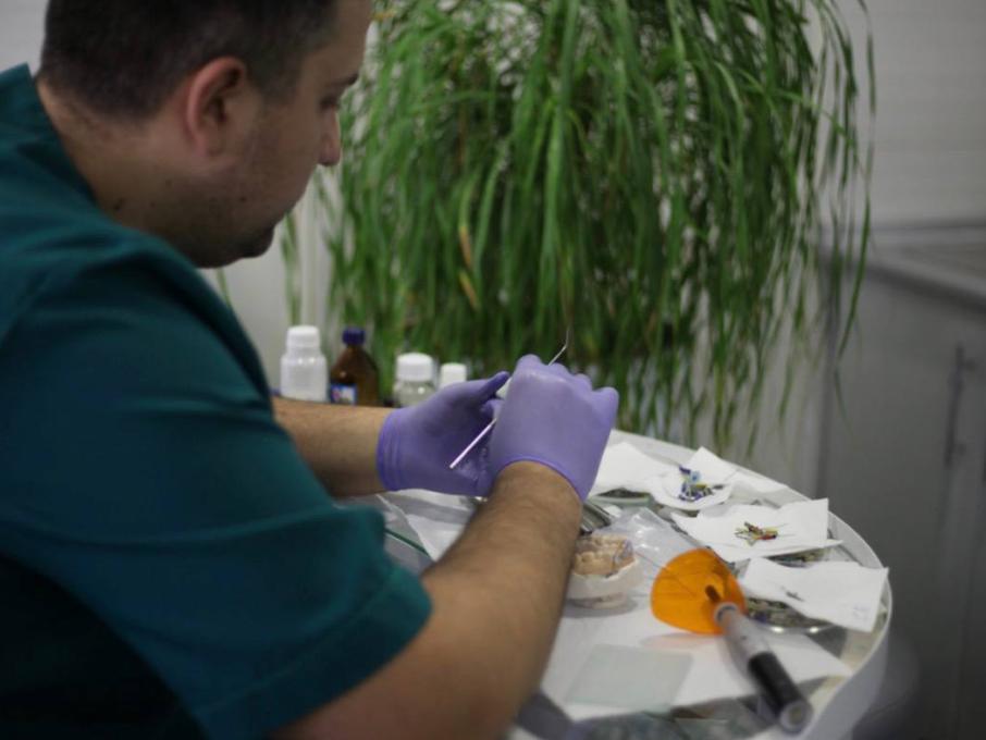 Янушевських