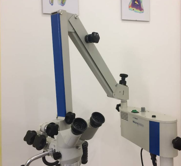 Аполінарія