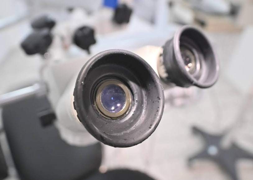 Аполінарія