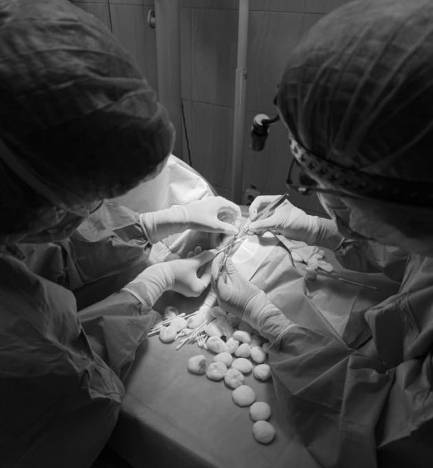 Клініка Павлів