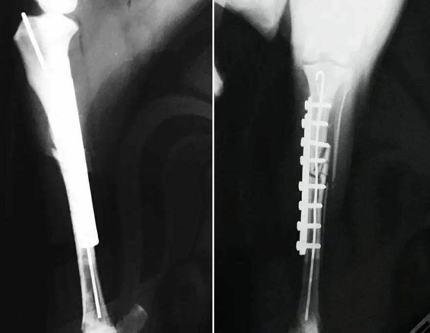 Ветдопомога