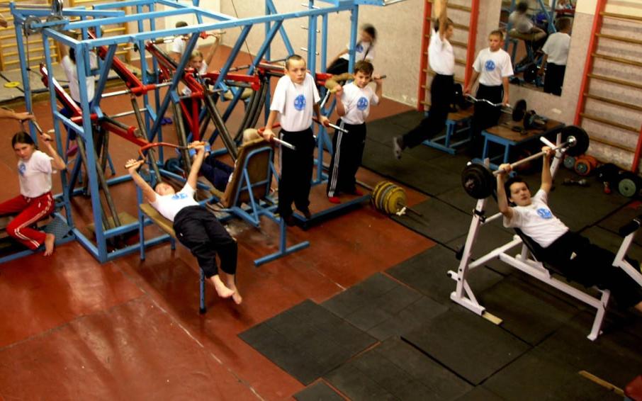 Альфа Дельф