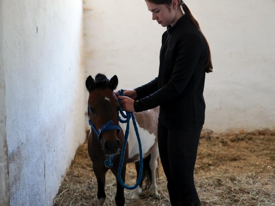 Школа Марії Бродської