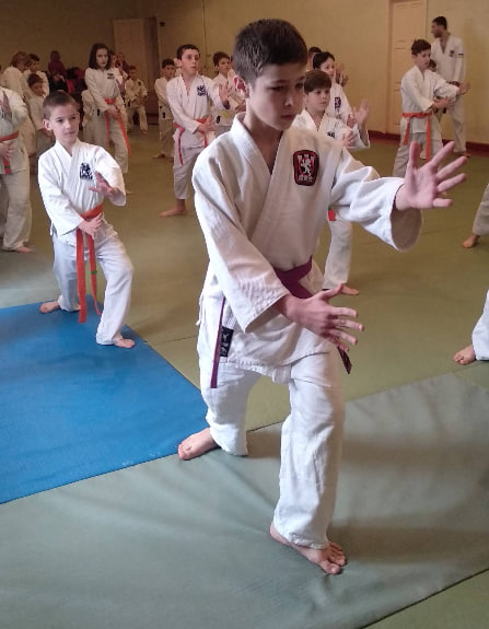 Айкідо Йошинкан