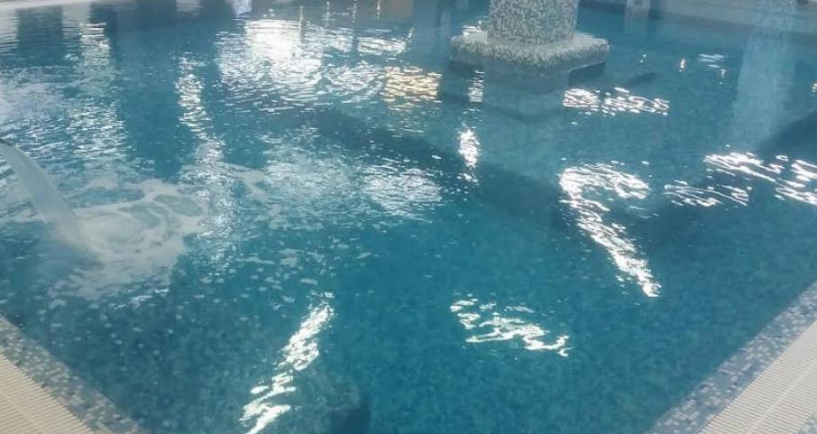 Басейн Динамо