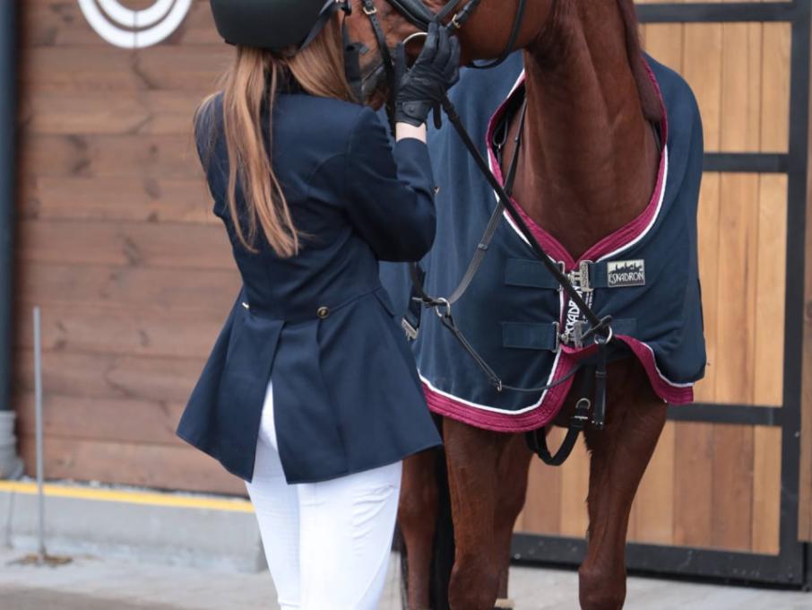 Буревісник