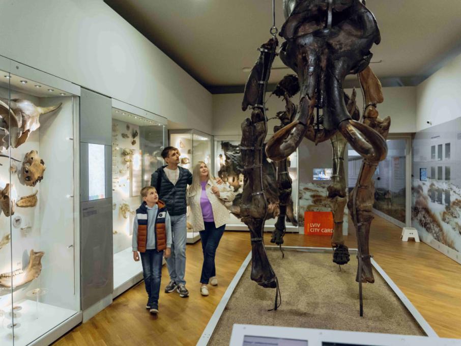 Державний природознавчий музей