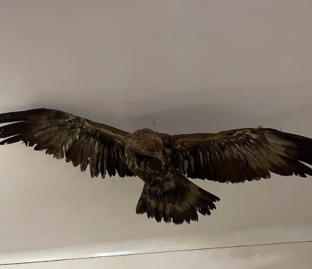 Державний природознавчий музей