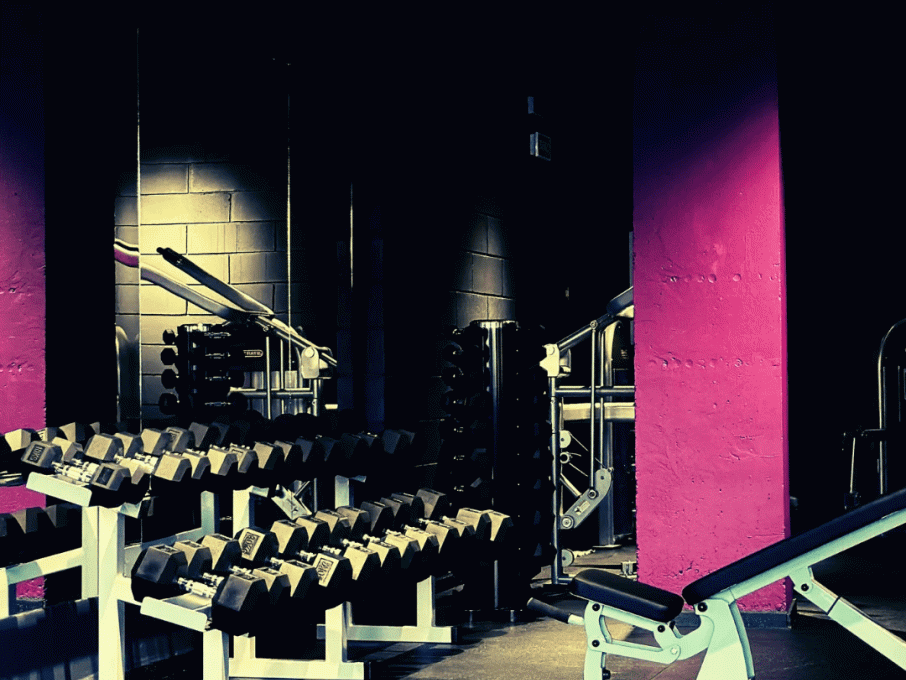 Purple Gym