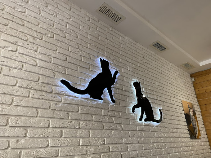 Cat Cafe