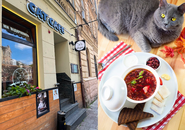Cat Cafe
