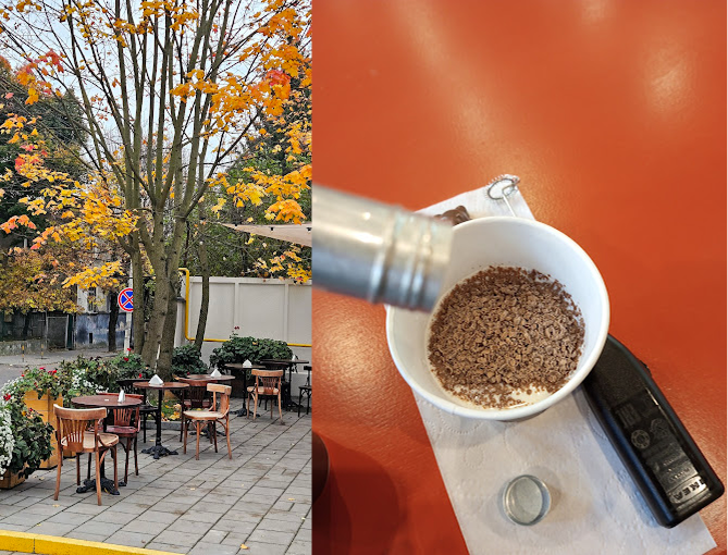 Львівська майстерня шоколаду