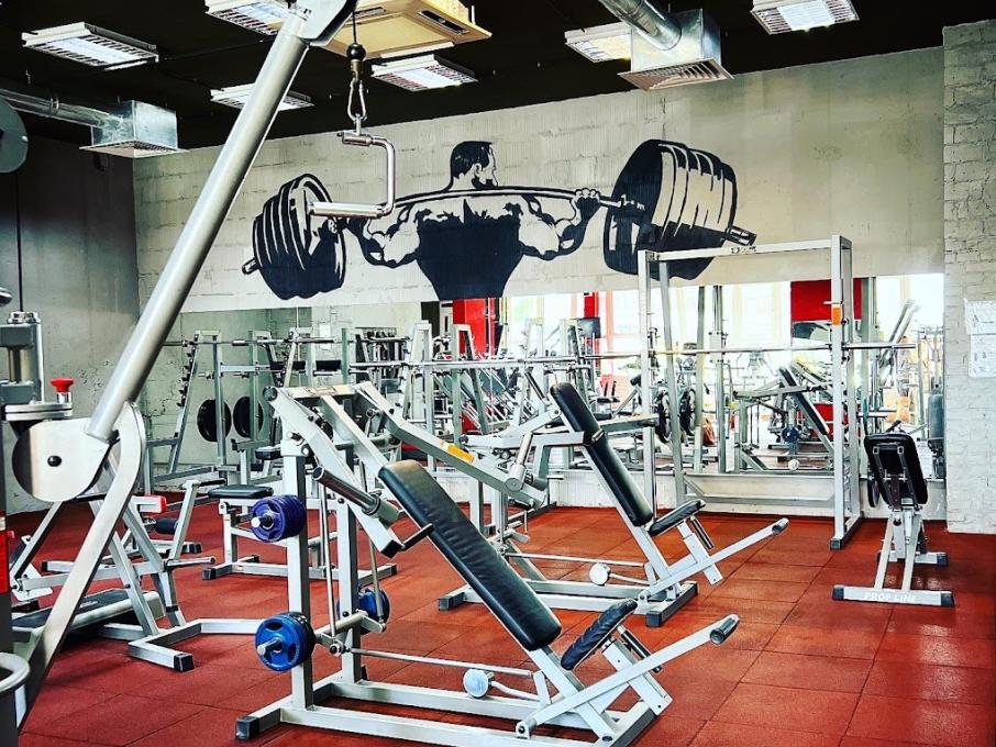 Stay Fit
