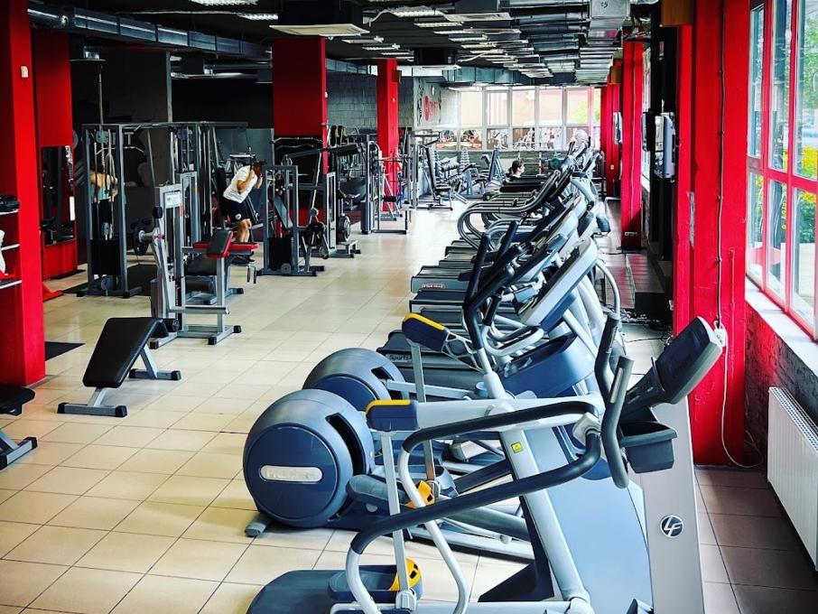 Stay Fit
